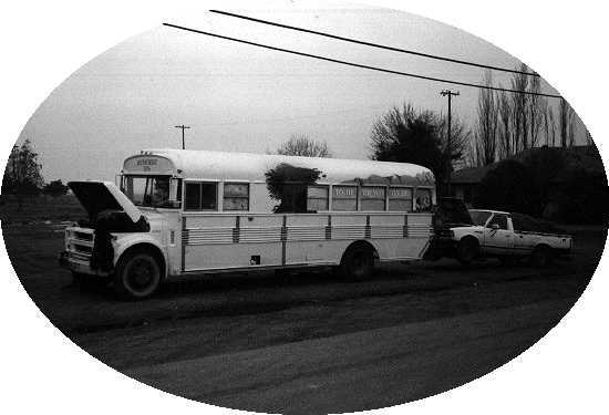 ovalbus1.jpg